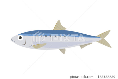 Vector illustration of squid Vector illustration of squid 128382289