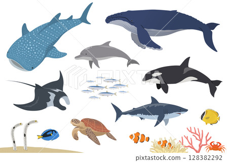 Sea creatures set_vector illustration 128382292