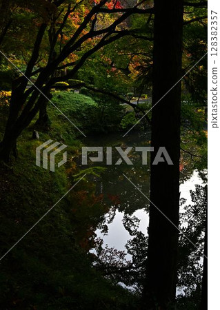 秋葉在池塘反射了 秋葉在池塘反射了 128382357