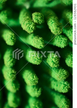 Green plant texture with soft fibers Green plant texture with soft fibers 128382431