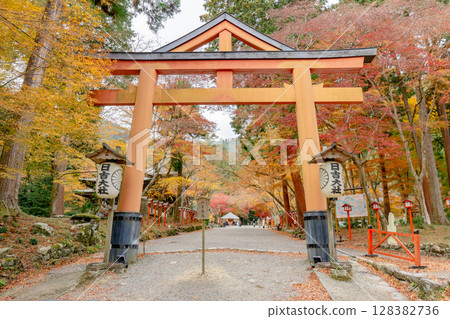 滋賀縣大津坂本的日吉大社、山王鳥居和秋葉 滋賀縣大津坂本的日吉大社、山王鳥居和秋葉 128382736