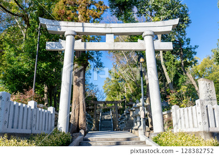 Iwashizu Shrine in Ikushi, Takarazuka City, Hyogo Prefecture Torii and Omotesando Iwashizu Shrine in Ikushi, Takarazuka City, Hyogo Prefecture Torii and Omotesando 128382752