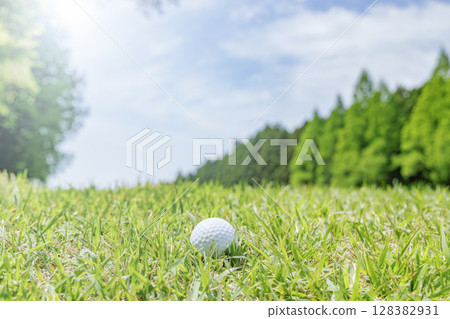令人愉悅的高爾夫球場，綠樹成蔭 128382931