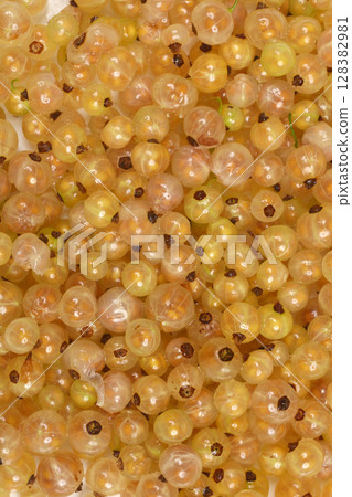 White currants White currants 128382981