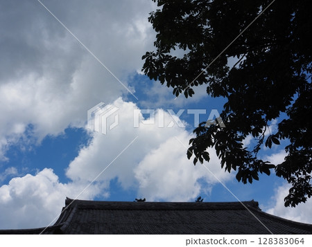 Wax cloud Wax cloud 128383064