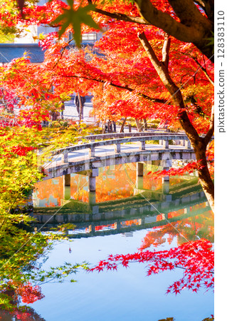 Autumn leaves at Eikando Temple, Kyoto 128383110