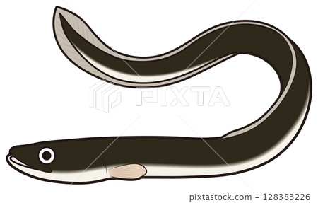 eel 128383226