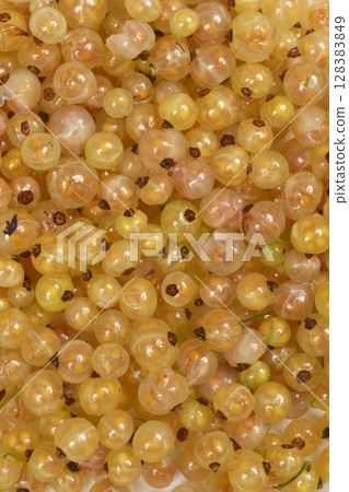 White currants 128383849