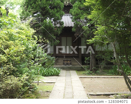 妙福寺寧靜祥和的宗師堂，位於通往寺廟的歷史道路的盡頭（側面圖） 128384071