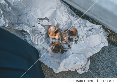 鬱金香球莖 128384308