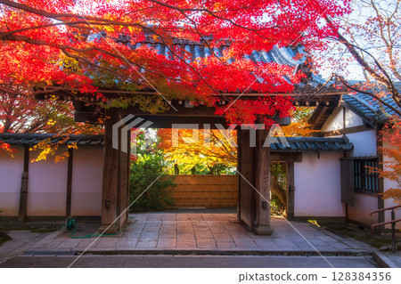 Ryoanji temple entrance gate with fall maple leaf colors at sunrise, Kyoto 128384356