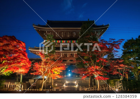 Fall maple tree light up at night, Kurodani temple gate, Kyoto Fall maple tree light up at night, Kurodani temple gate, Kyoto 128384359