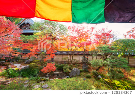 Beautiful autumn garden view from Eikando temple hall, Kyoto 128384367