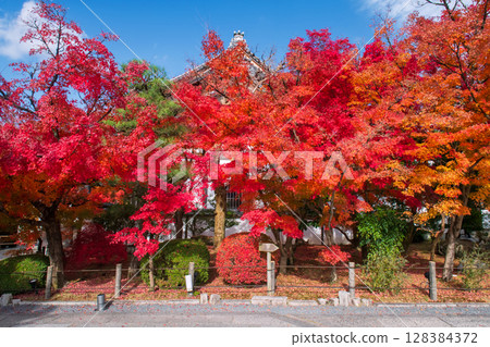 Colorful autumn leaf garden at Eikando temple, Kyoto, Japan 128384372