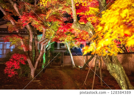 gate with colorful fall maple tree tunnel light up Hogonin temple, Arashiyama 128384389