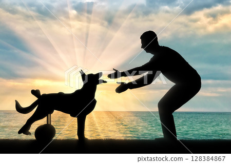 Concept of a dog in a wheelchair 128384867