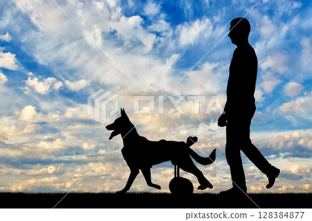 Concept of helping pets 128384877