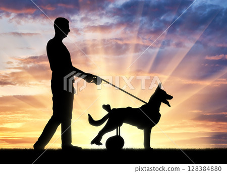 Concept of a happy dog in a wheelchair 128384880