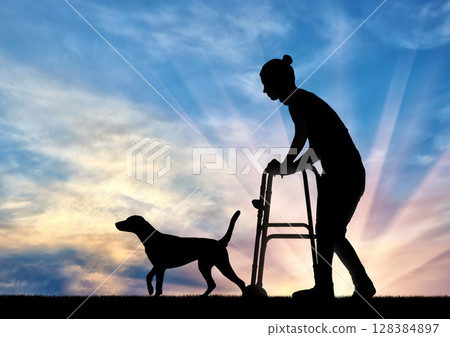 Silhouette of a disabled woman walking with a dog, uses a walker 128384897