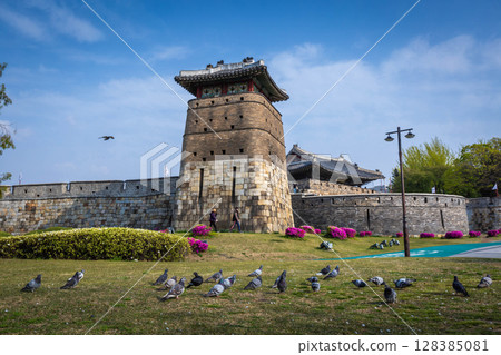 Summer at Suwon Old city wall at Hwaseong Fortress, Traditional Architecture of Korea at Suwon, South Korea. Summer at Suwon Old city wall at Hwaseong Fortress, Traditional Architecture of Korea at Suwon, South Korea. 128385081