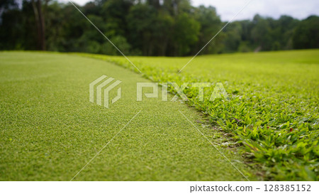 Green grass background, top view background of garden bright grass concept Green grass background, top view background of garden bright grass concept 128385152