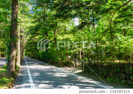 夏天的輕井澤，安靜的別墅區 128385323