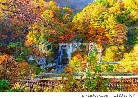 重城山 紅葉川溪谷 紅葉 黃葉 富士花瀑布 128385467