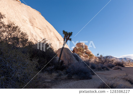 Joshua Tree National Park 128386227