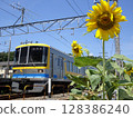Sunflowers and trains 128386240