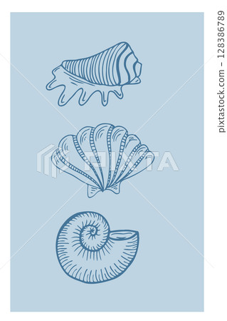 Coastal cowgirl vector illustration line art featuring various seashells against a soft background 128386789