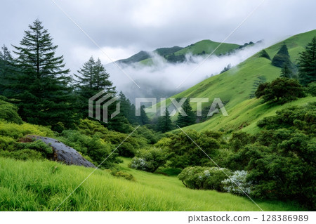 Fog rolling over green hills and forest in the wilderness 128386989