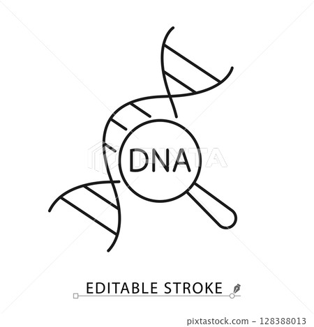 A DNA analysis icon in minimalist style with editable stroke. Genetic research, magnifier tool, genome data, molecular structure, biology diagnostics, double helix study, outline vector illustration. 128388013