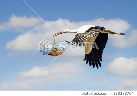 Stork carrying baby in beak flying through blue sky with clouds Stork carrying baby in beak flying through blue sky with clouds 128388704