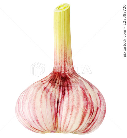 Single head of raw garlic isolated on white 128388720