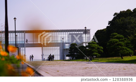 葛西臨海公園與夕陽映照下的向日葵 葛西臨海公園與夕陽映照下的向日葵 128388936