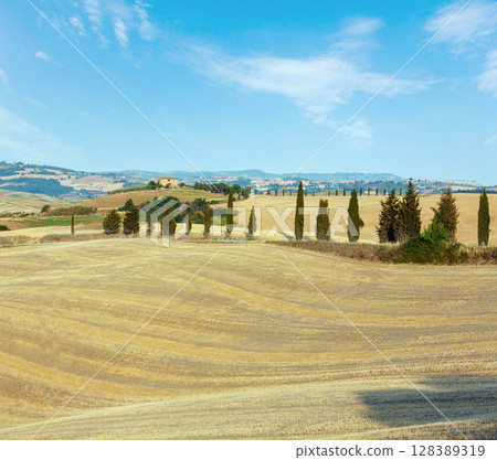 Tuscany sunrise countryside, Italy 128389319
