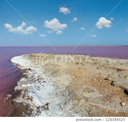 Pink salty Syvash Lake, Ukraine 128389323