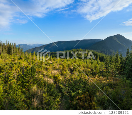 Summer Carpathian mountains evening view. Stony Gorgany massif, Ukraine. Summer Carpathian mountains evening view. Stony Gorgany massif, Ukraine. 128389331