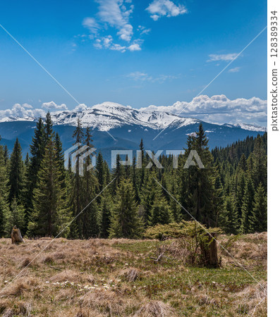 Spring Carpathian mountains view, Ukraine. Spring Carpathian mountains view, Ukraine. 128389334