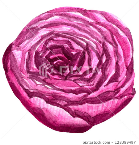 Beautiful watercolor flower peony for your design and floral pattern for wallpaper or fabric Beautiful watercolor flower peony for your design and floral pattern for wallpaper or fabric 128389497