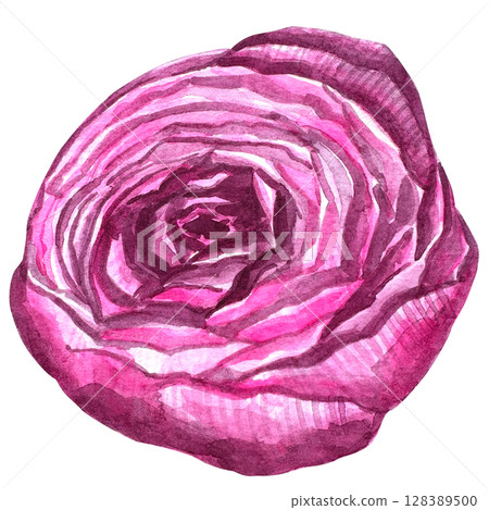 Beautiful watercolor flower peony for your design and floral pattern for wallpaper or fabric 128389500