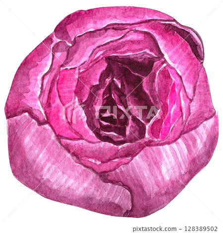 Beautiful watercolor flower peony for your design and floral pattern for wallpaper or fabric Beautiful watercolor flower peony for your design and floral pattern for wallpaper or fabric 128389502