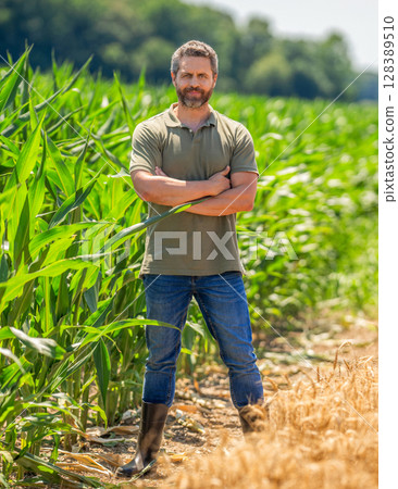 Farmer check wheat. Agricultural wheat at harvest time. Countryside crop. Agronomist man harvesting at crop field. Ripe agriculture. Harvest man field. Farmer agronomist. Crop harvest. Best quality Farmer check wheat. Agricultural wheat at harvest time. Countryside crop. Agronomist man harvesting at crop field. Ripe agriculture. Harvest man field. Farmer agronomist. Crop harvest. Best quality 128389510