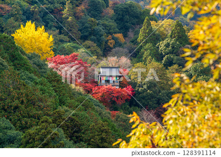 妙見堂大斐閣千光寺,矗立在京都嵐山的秋葉和黃葉之中 妙見堂大斐閣千光寺,矗立在京都嵐山的秋葉和黃葉之中 128391114