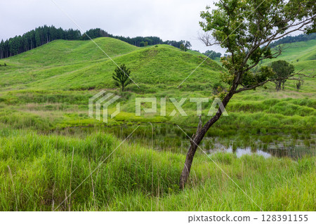 Beautiful summer scenery of Tonomine Plateau in Kamikawa Town, Hyogo Prefecture, Japan 128391155