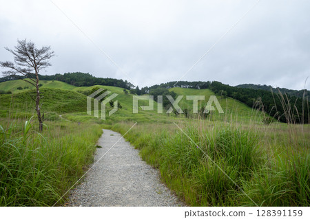 日本兵庫縣上川町砥峰高原的美麗夏日風景 128391159