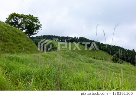日本兵庫縣上川町砥峰高原的美麗夏日風景 128391160