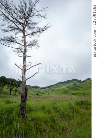 Beautiful summer scenery of Tonomine Plateau in Kamikawa Town, Hyogo Prefecture, Japan 128391162