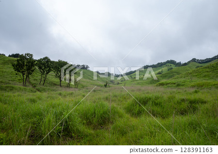 日本兵庫縣上川町砥峰高原的美麗夏日風景 128391163