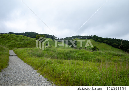 Beautiful summer scenery of Tonomine Plateau in Kamikawa Town, Hyogo Prefecture, Japan 128391164